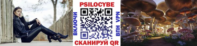 площадка как зайти Петушки Псилоцибиновые грибы MAGIC MUSHROOMS KRAKEN зеркало